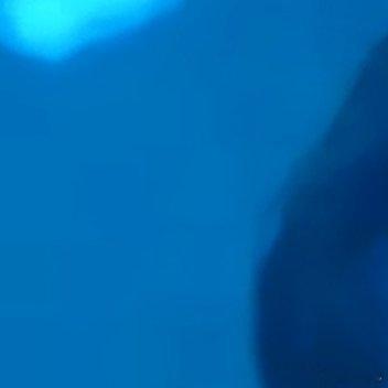 每日一善我有一片胡杨林每日一善 阳光信用 这个冬天和陈浚铭见面吧 0000善行缘