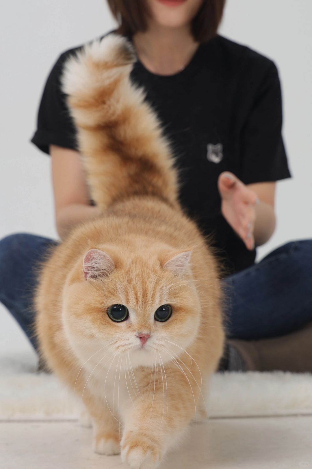 ee 注意！2 岁的小胖纸来咯(◍•ᴗ•◍)