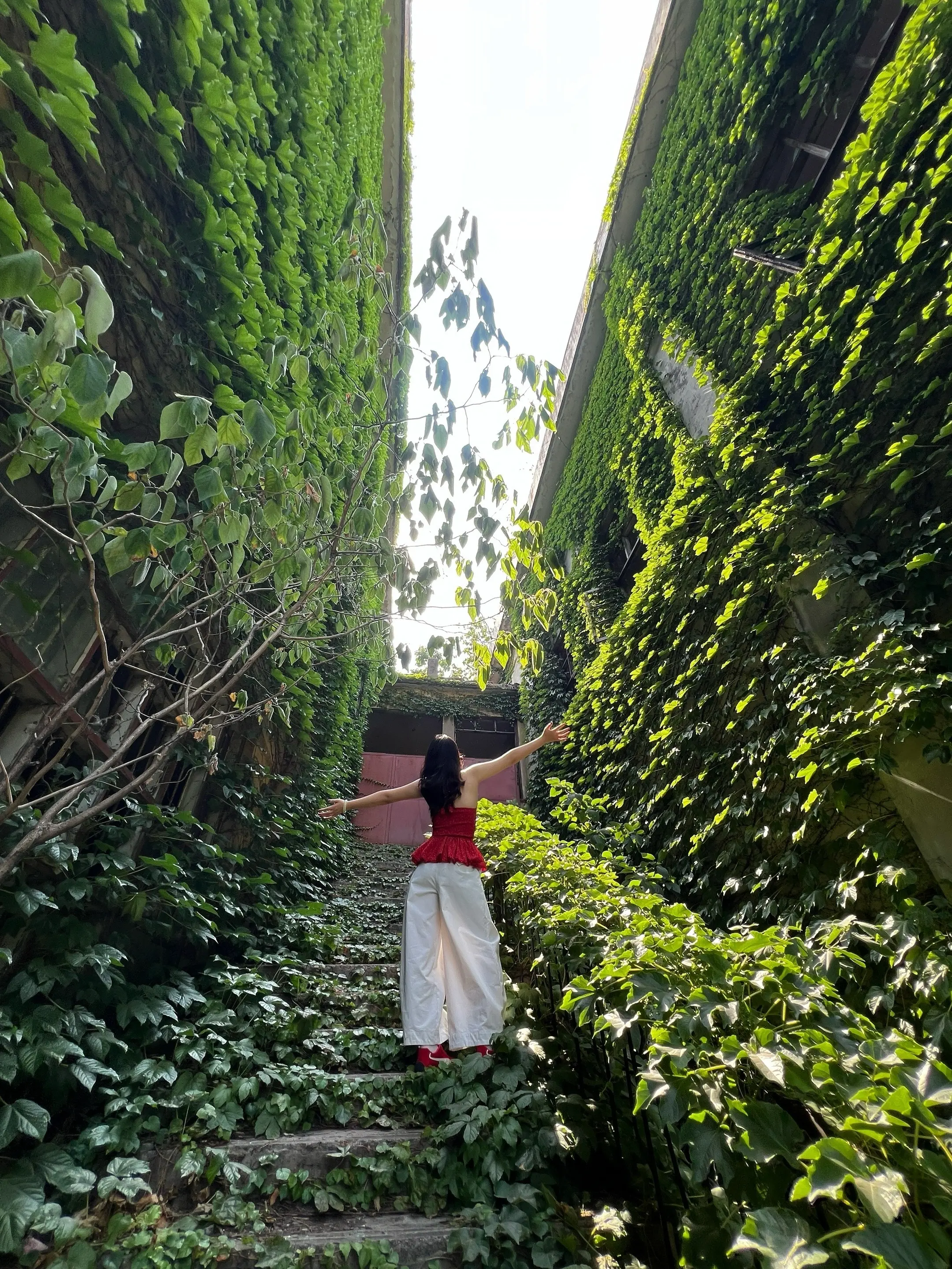 在邳州 体验片刻的哀牢山阴蒙感