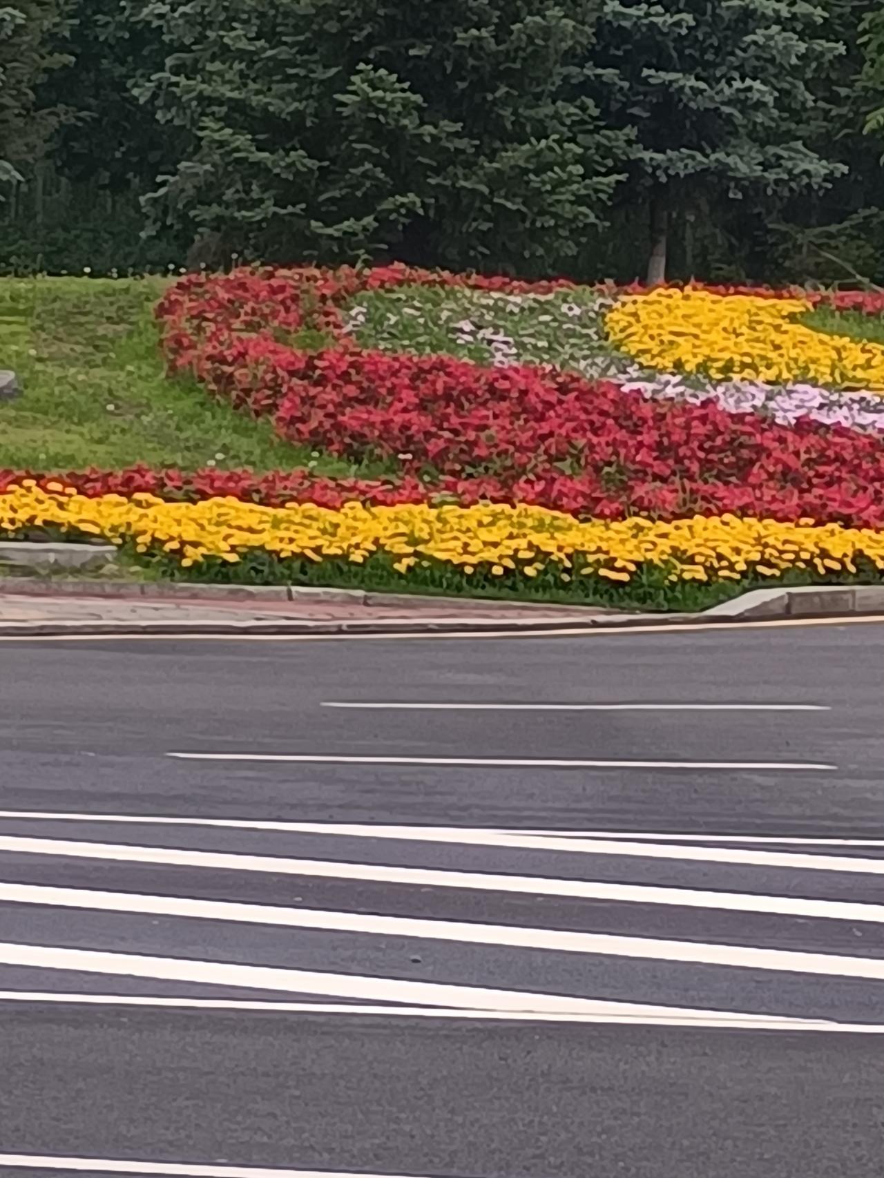 一张图证明夏天来了