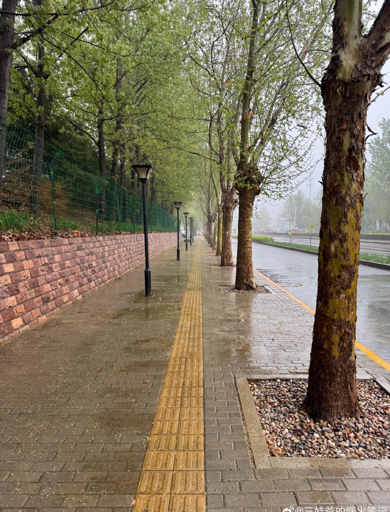 北京这个春天，不是大风，就是灰霾，好不容易下了一场雨。接下来的日子也不好过，大概