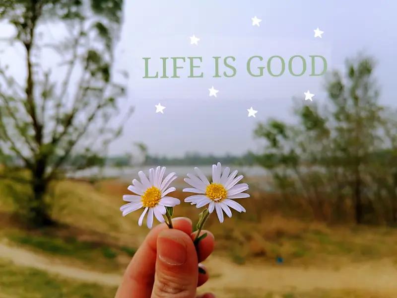 友友说的真好！
与其生气，
不如争气；
与其抱怨，
不如改变，
好好生活，
就是