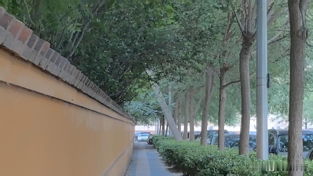 温网资格赛首轮：中国金花喜忧参半

王曦雨、张帅晋级资格赛次轮
韦思佳、 高馨妤