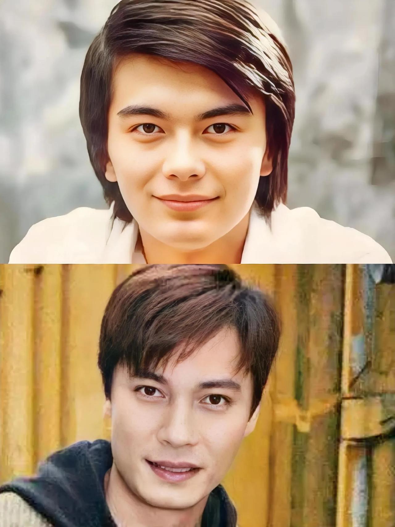 为啥有长的这么像的，许亚军和罗嘉良，长的太像了，一直以为是一个人，同样是帅哥天花