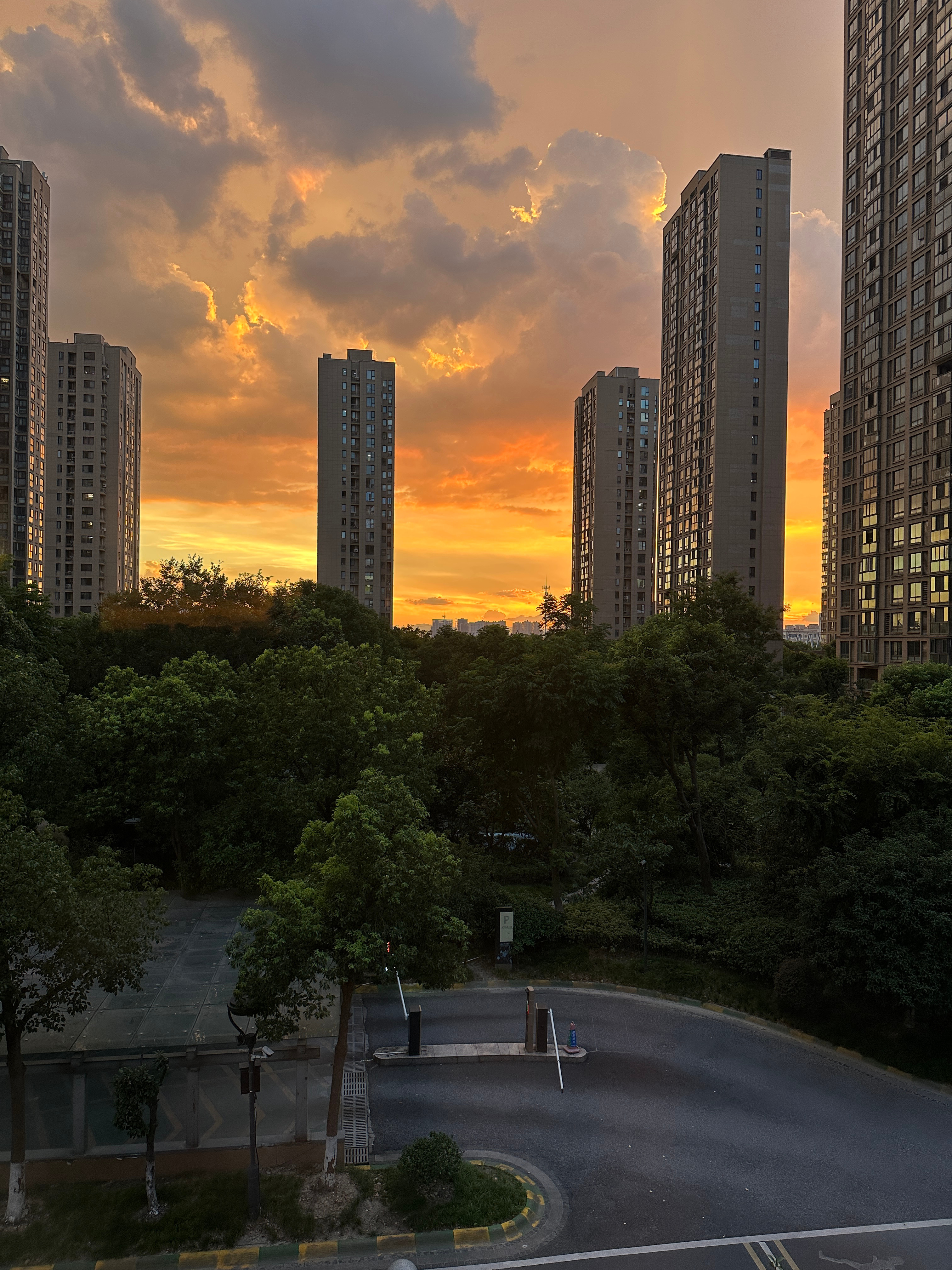 分享图片 
