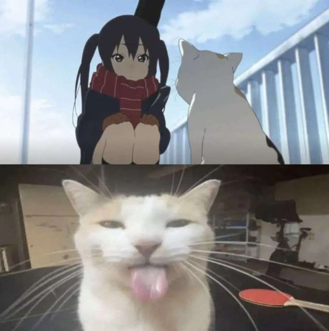 略 ​​​