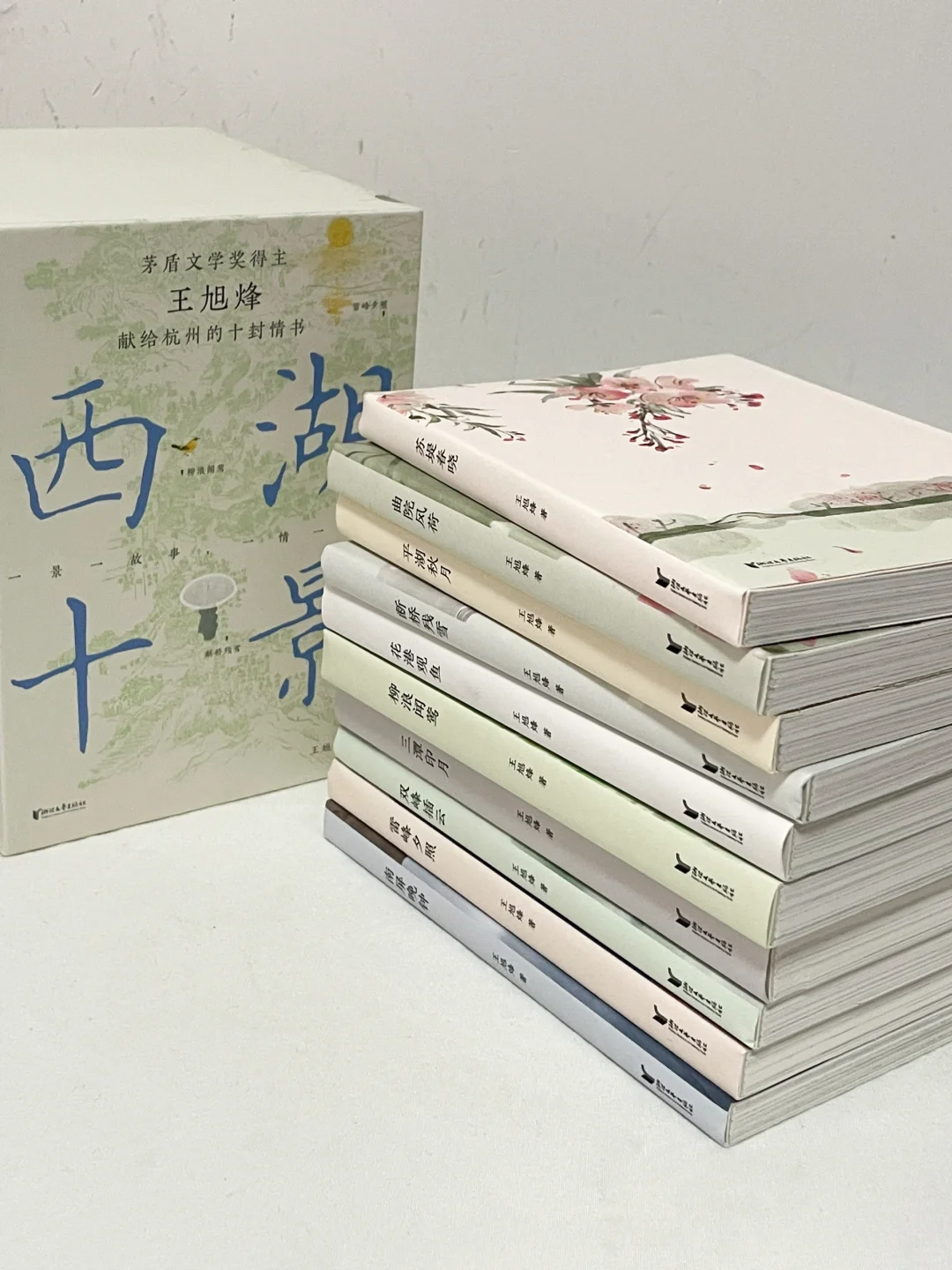 近期读到蕞惊艳的一套小说，没有之一！！