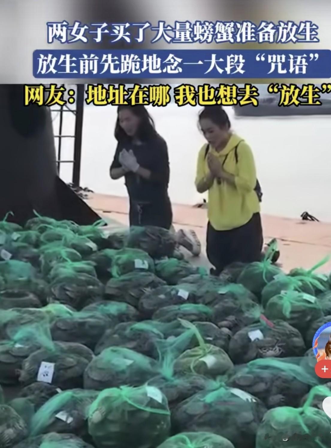 竟然有人放生螃蠏还念念有词！现在的人怎么了，有人放生猫，有人放生鱼，有人放生大米