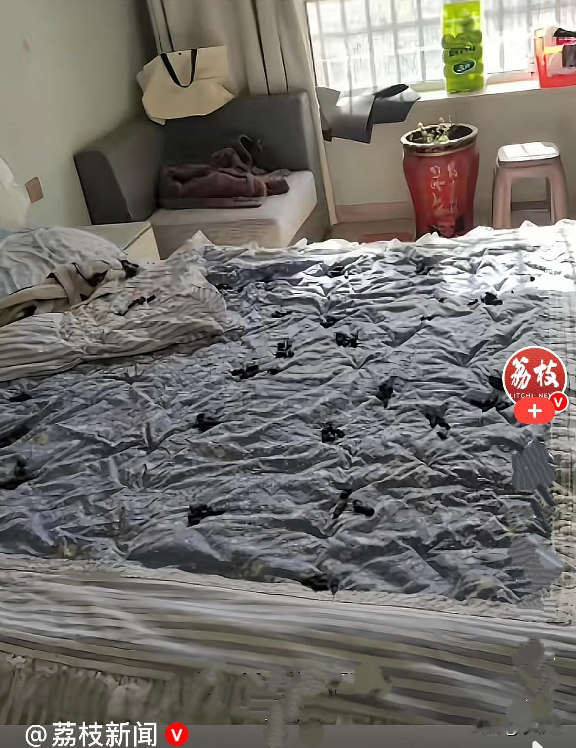 过年期间，新疆和田的的王女士回老家了呆了26天，等她从老家回来了进屋一看，咦，她