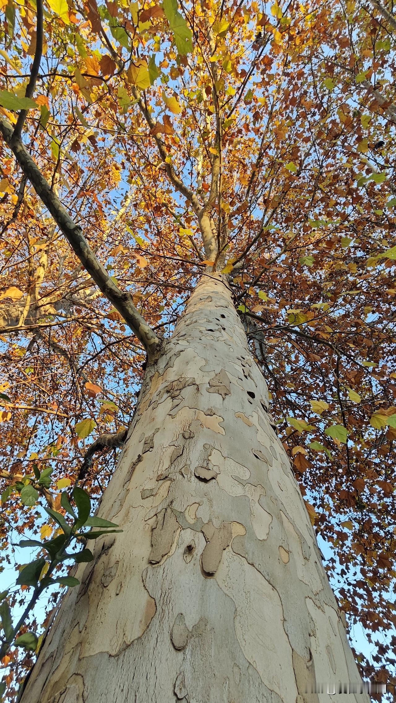 这几天一直在跑医院。

一年一度的体检结果出来了，看到体检报告上的提示，我赶紧跑