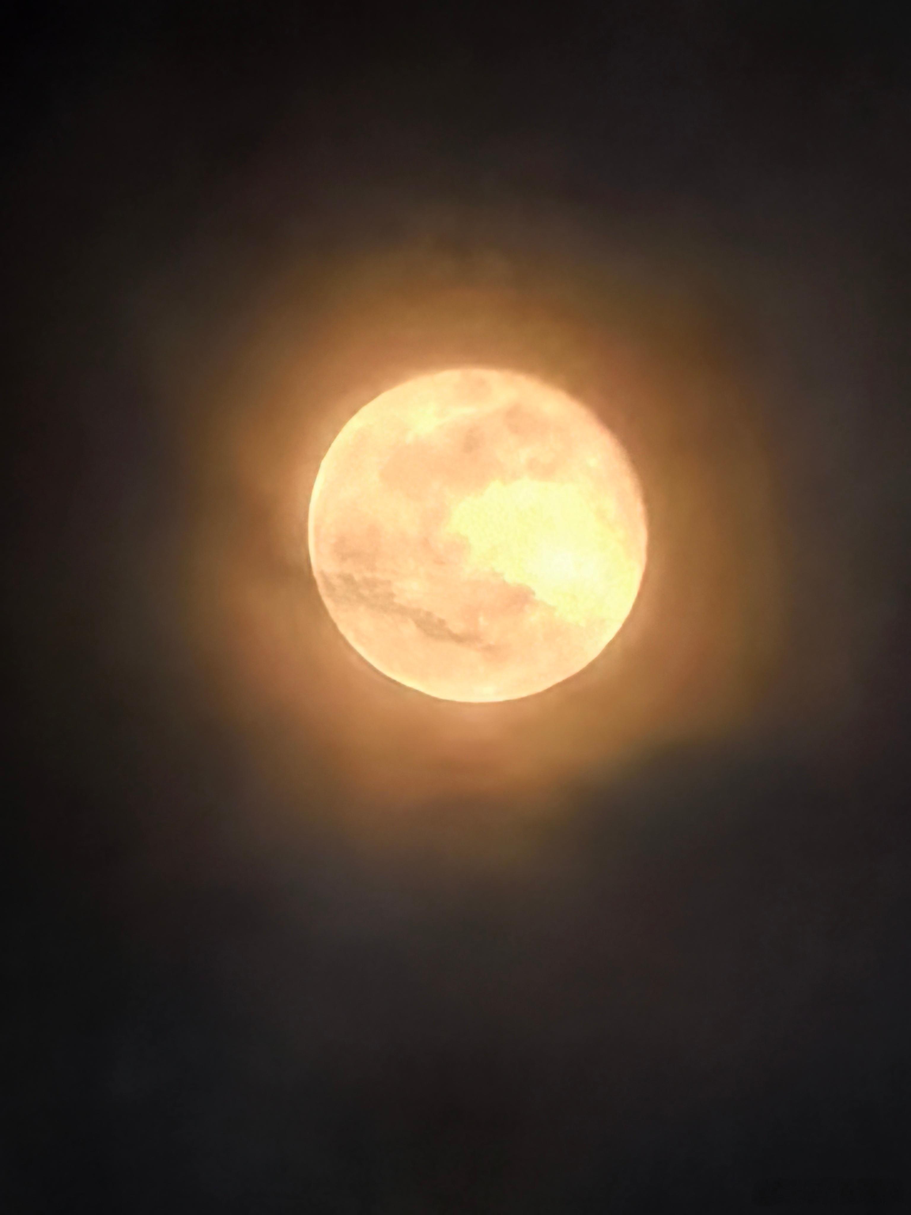 麦子熟了五千次，人类造月球基地第一次 