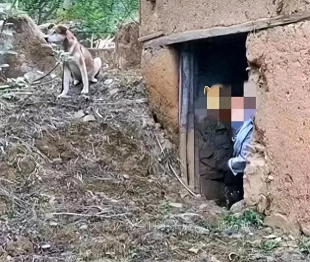 《人与畜的分野》

枫林红叶

深山古宅锁生斑，

阶下荒蒿积满山。

老犬凝眸
