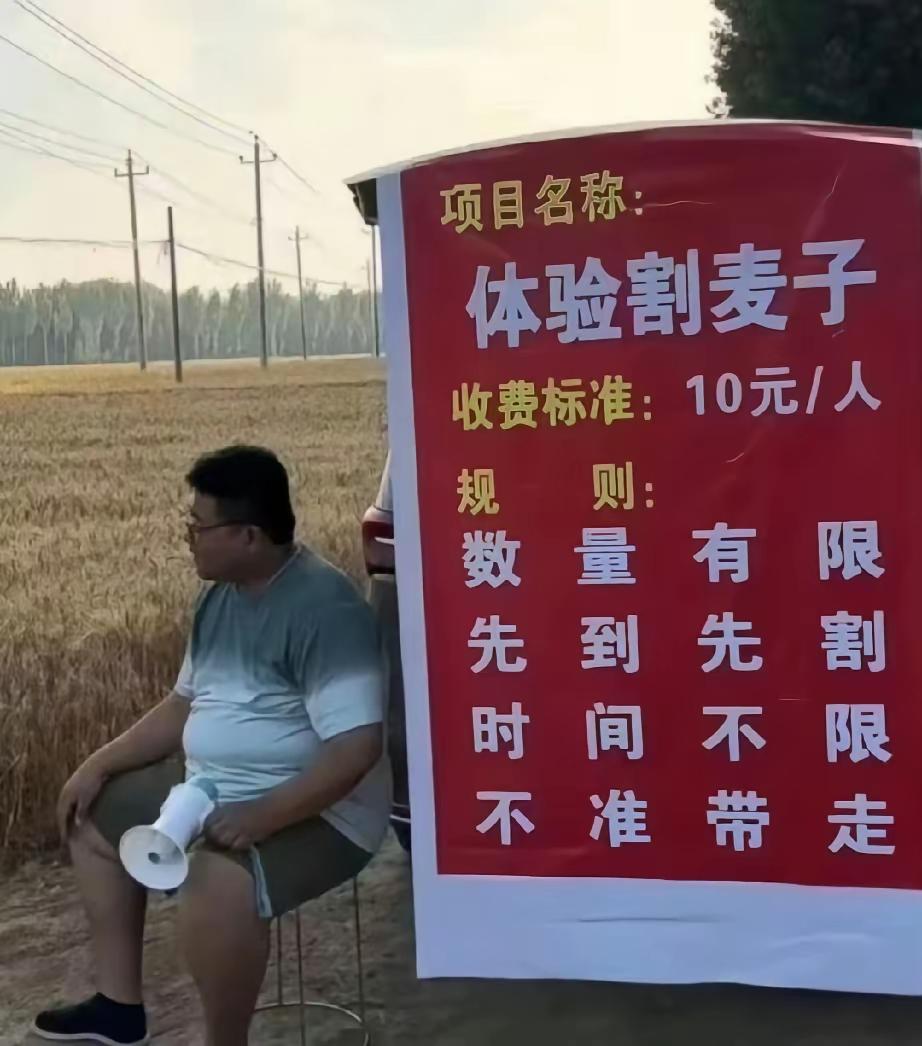 这个商业头脑绝对没的说，一亩地的麦子，硬生生的卖出了两亩地的价格，这真是撒尿擤鼻