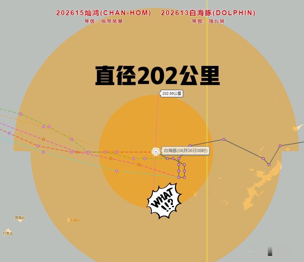 台风白海豚在东海转圈圈，停滞不前了吗？

过去12小时的路径看，台风白海豚几乎没