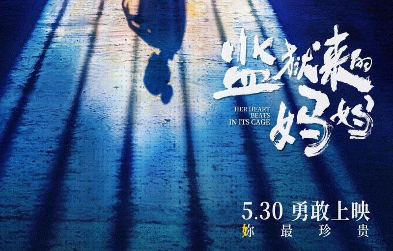 这是一个极好的教材！今后要进一步加强《法治宣传教育法》的落实。
在巨大的舆论压力