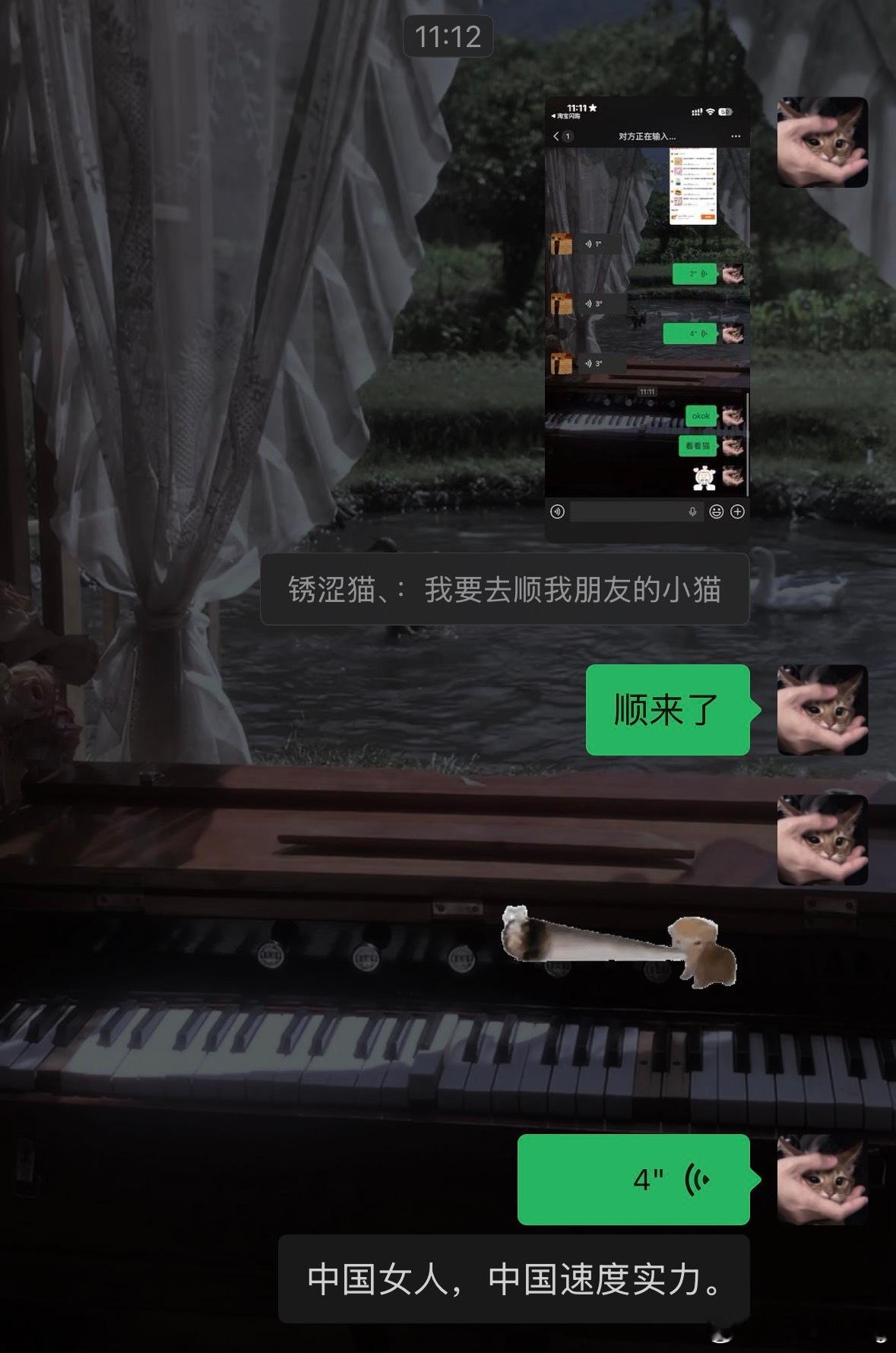 哈哈哈哈哈哈哈我也是有猫的人了 