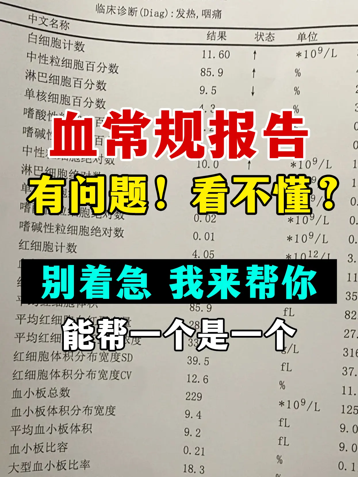 中医 韦云主任 血常规 血液病