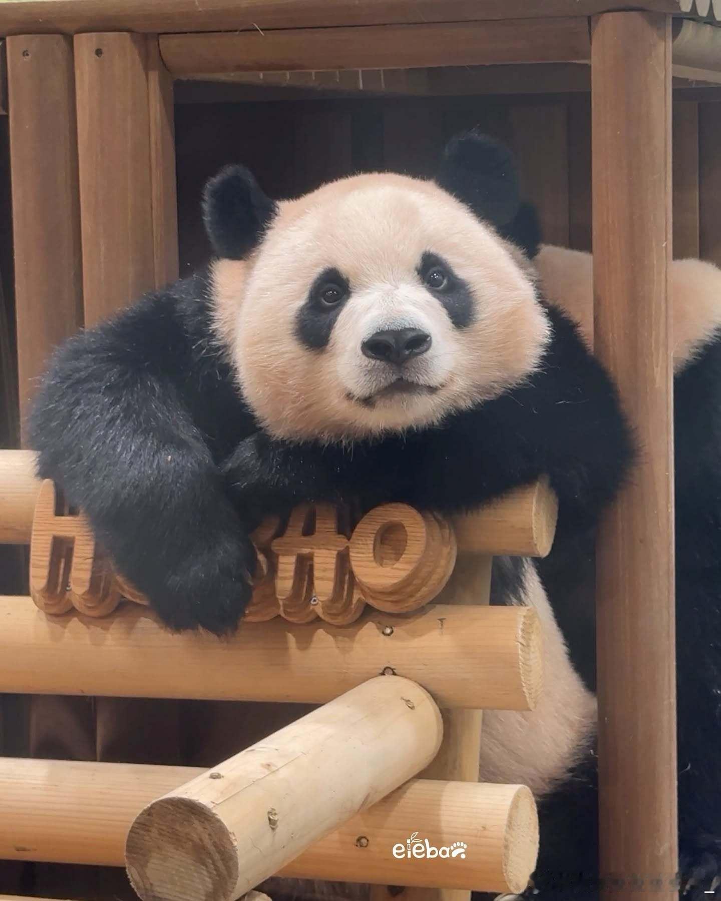 每天早起打卡早安～ 