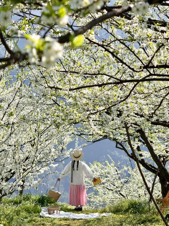 羡慕大邑人。。。。。。有属于自己的后花园（免费）