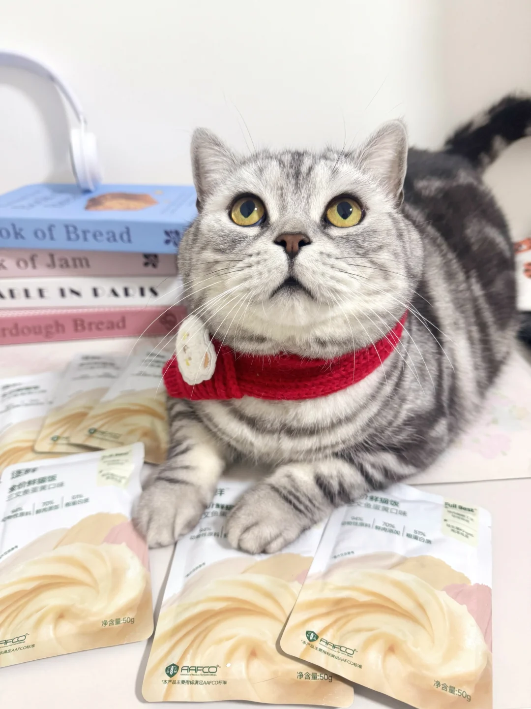 逐鲜全价鲜猫饭！这个猫饭我能回购一冬天！