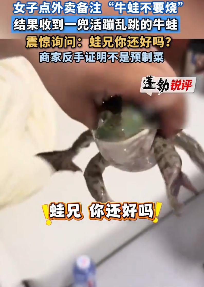 这也太实在了！上海，女子点了份牛蛙外卖，付款后备注了一句“不要烧牛蛙”，万万没想