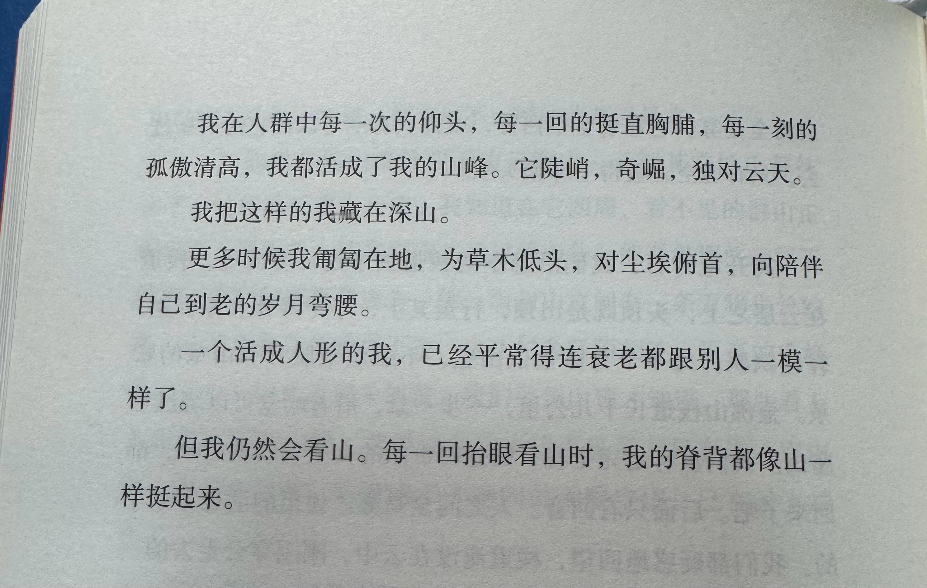 我在人群中每一次的仰头，每一回的挺直胸脯，每一刻的孤傲清高，我都活成了我的山峰。