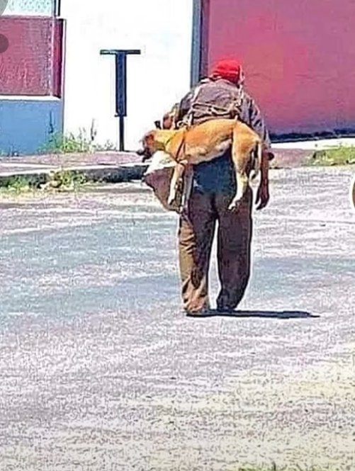 路过的人都在问老人：为何要将狗背在身上？老人说：天气炎热，怕地上的柏油路烫到狗狗