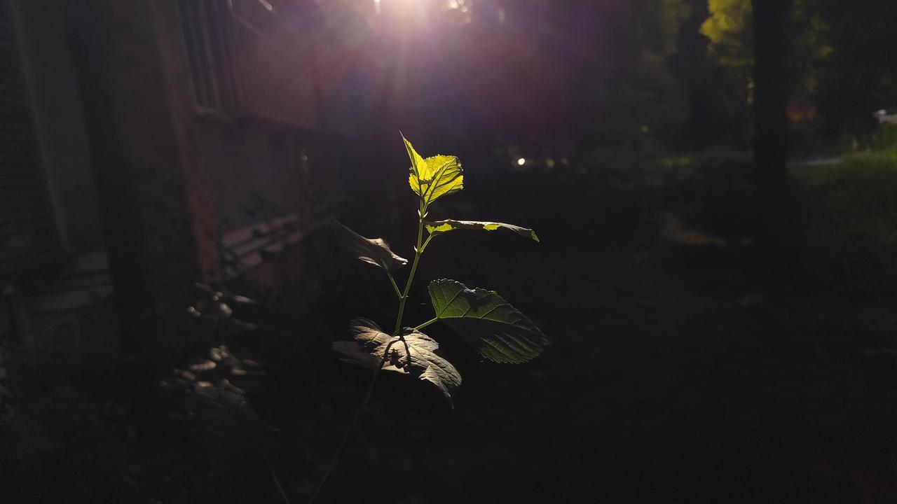 晒图笔记大赛光影之美分享自然风景照片