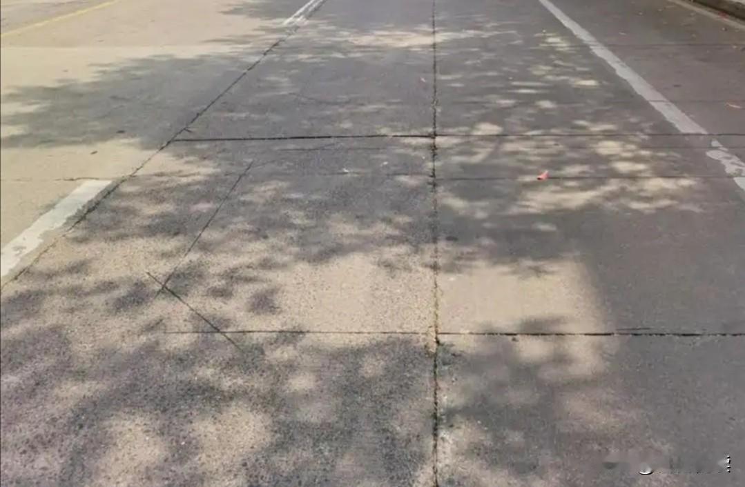 今天早上我在路边准备扫共享单车，正低头对着手机操作呢，旁边慢慢走过来一位中年女人