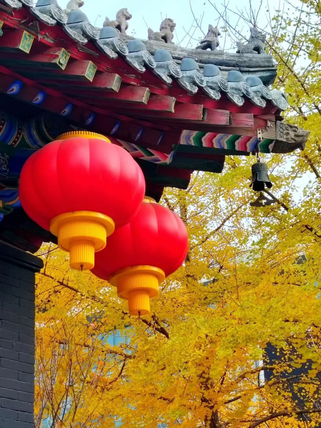 晒图笔记大赛秋天的美莫过于此