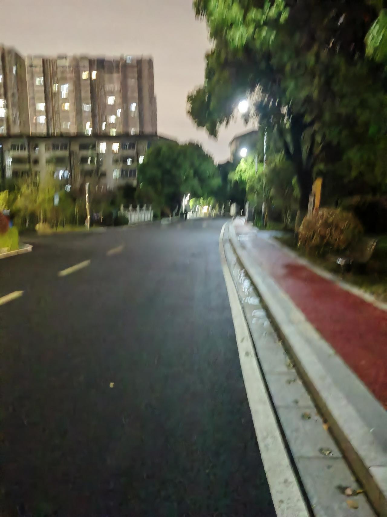 此刻正漫步在馨园路，小区的主干道上。
 两旁一抱粗的香樟树撑开浓荫，路灯把树影揉