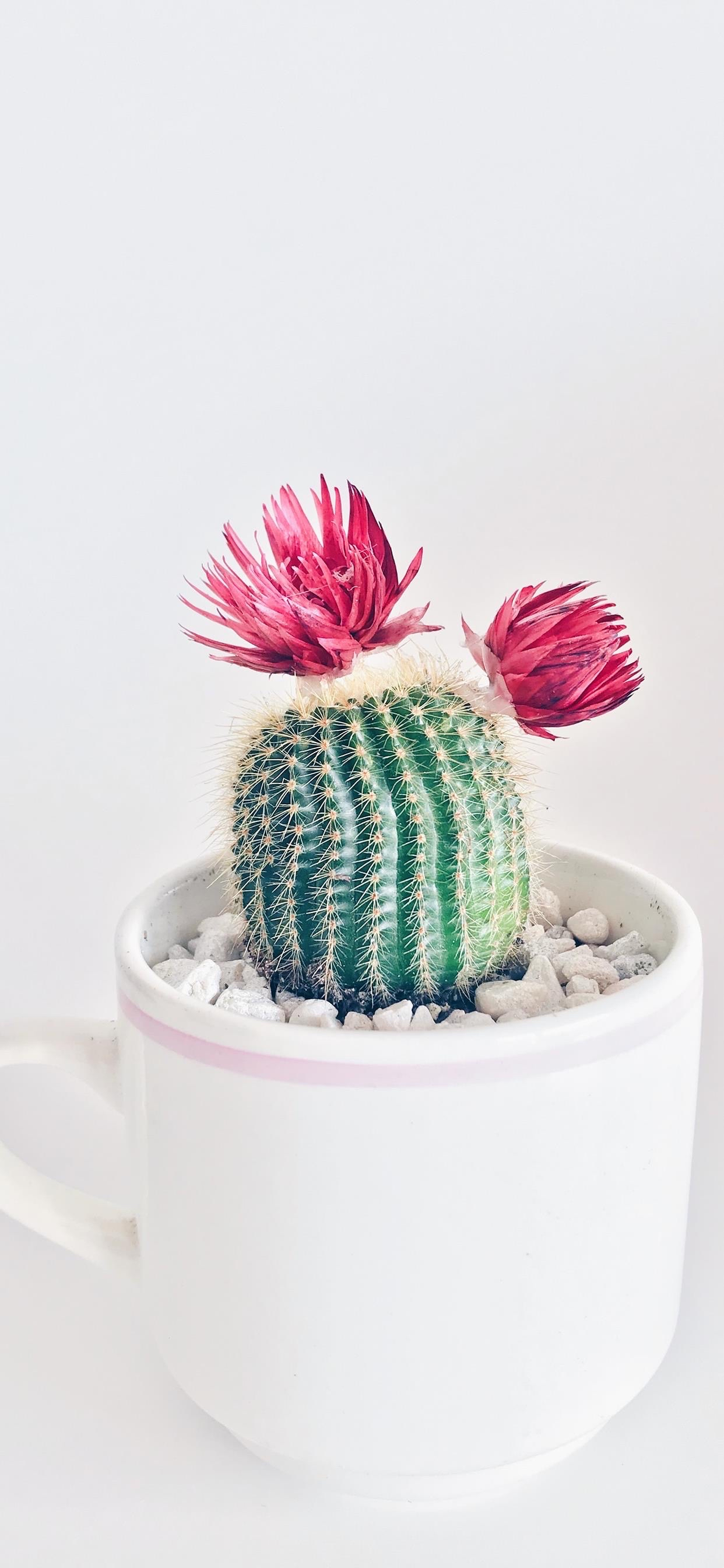 老规矩，睡前一更。明日癸卯  乙丑  辛未。月破大耗，赶上周一，各位小心一点。要