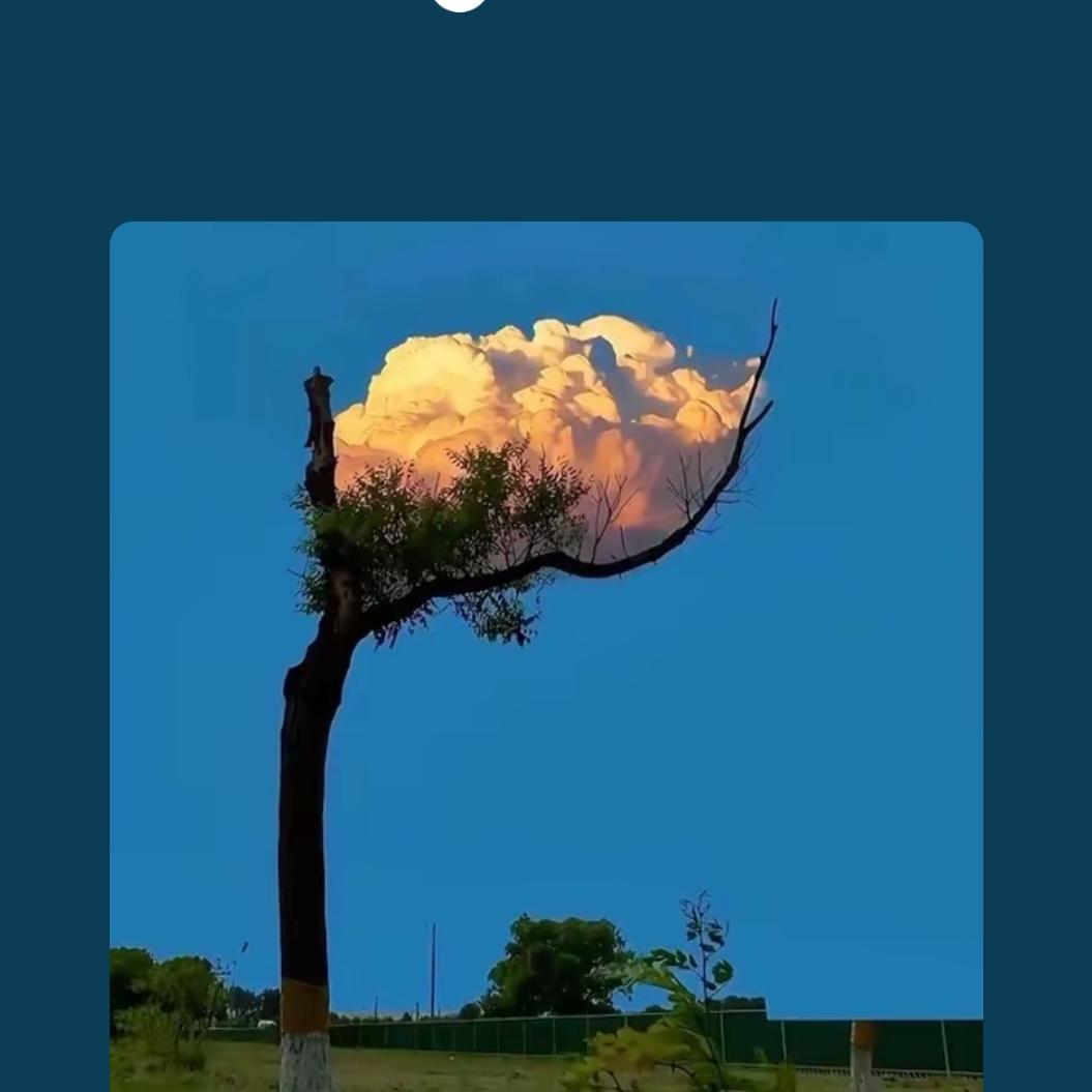 拜金女比例越来越高，原因是多方面的。
一些是因为成长环境。比如农村女孩，过去很多