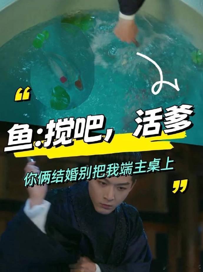 #崔行舟把鱼缸当醋缸##崔行舟鱼缸变醋缸# 崔行舟，你这是吃醋的新境界啊！鱼缸变
