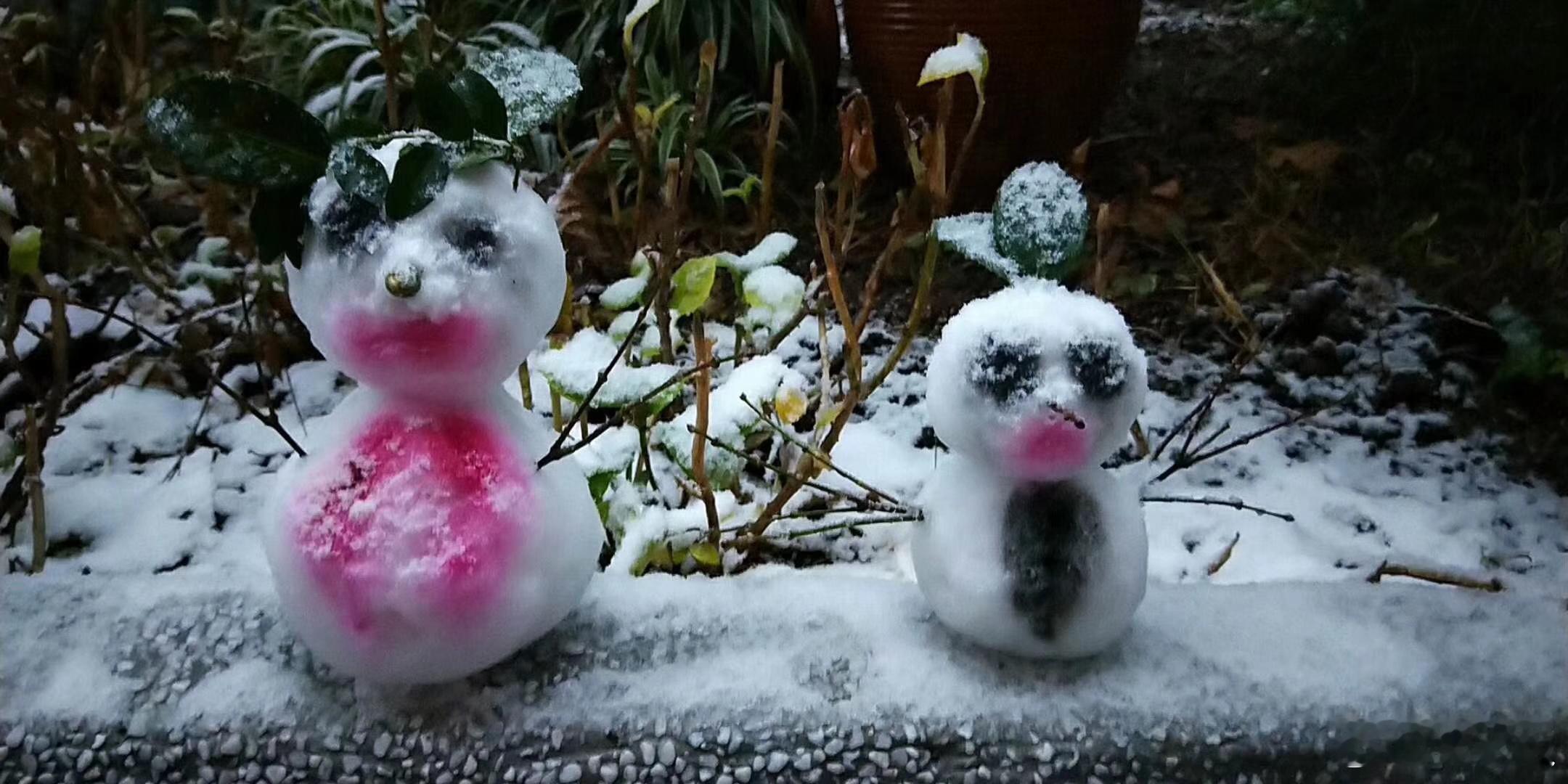 上海下雪了。雪籽和雪。越下越大了。18年元月25日，也是下雪，我家院子里的两个小