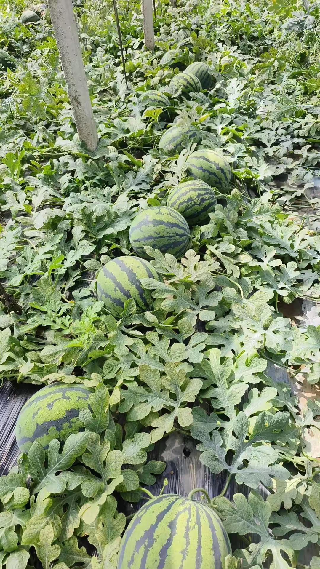 老公问我：五一准备带我去哪里玩？
我说：带你去看人间烟火、春暖花开🌿
 
第一