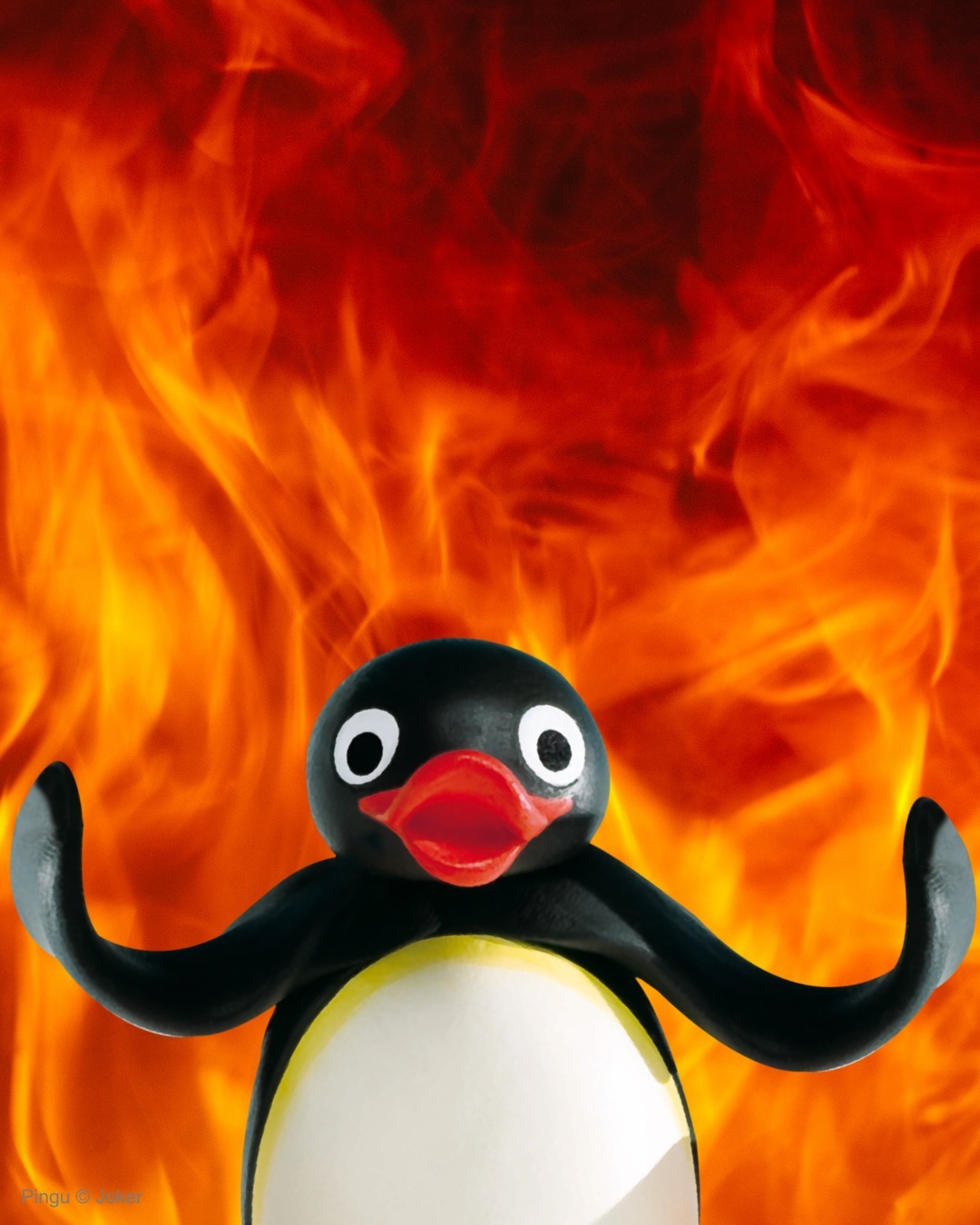 🔥meme
