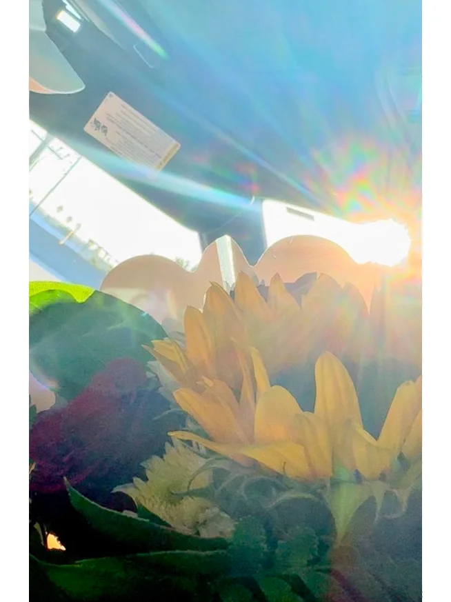 ✨✨Xu.☀️🌻📸