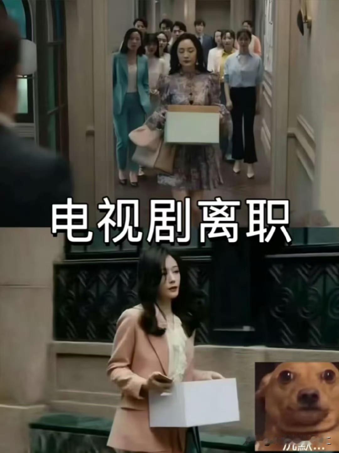 电视剧离职vs现实中离职 ​

现实生活中离职哪有电视剧中那么体面
，在一家公司