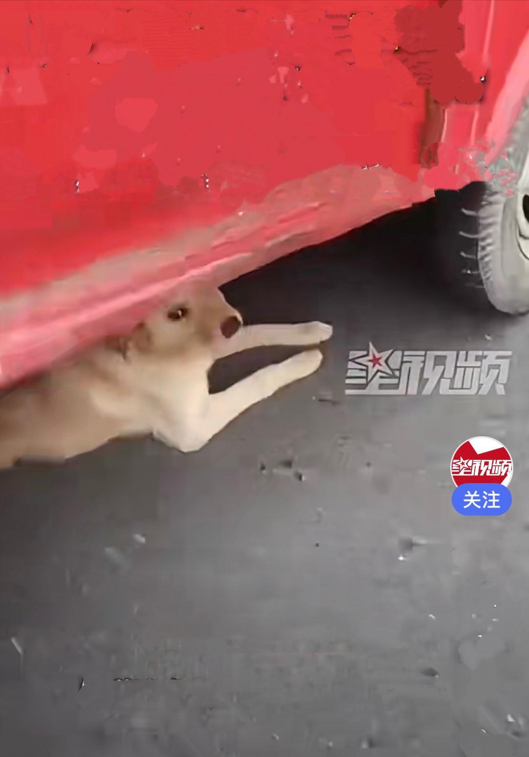 近日，江苏泰州一位收废品的师傅，上门收了一户人家的旧三轮车，这辆三轮车放在家里闲