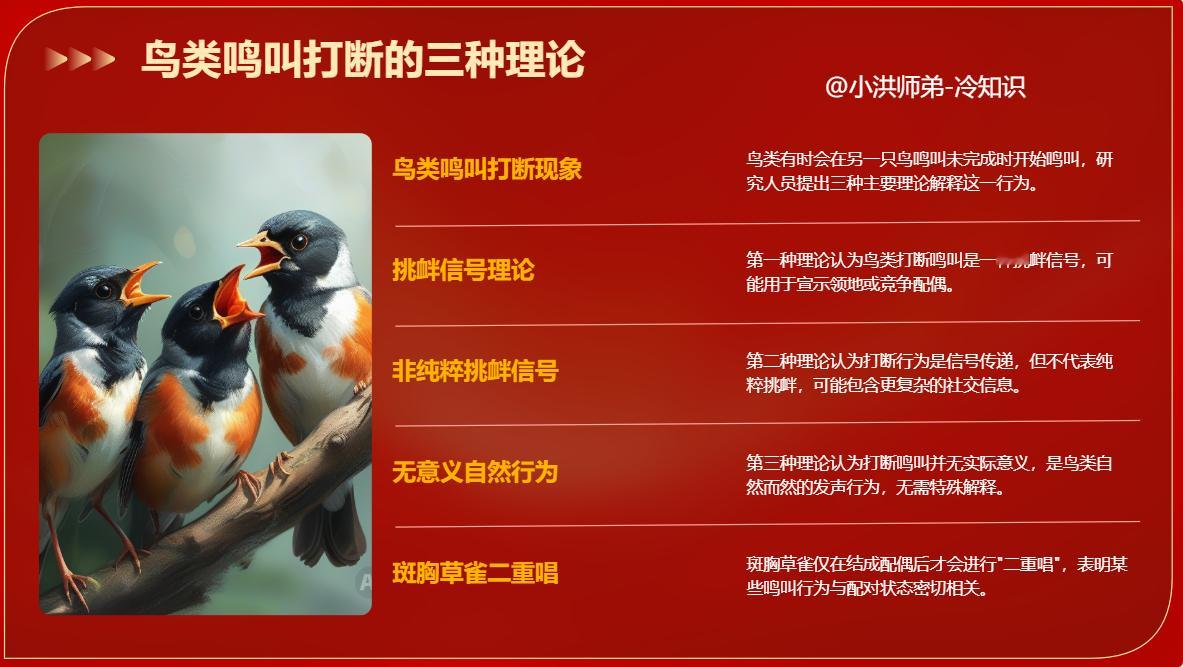 为什么鸟会互相打断对方的鸣叫？鸟为什么有时候会在另一只鸟还没鸣叫完就开始“唱歌”