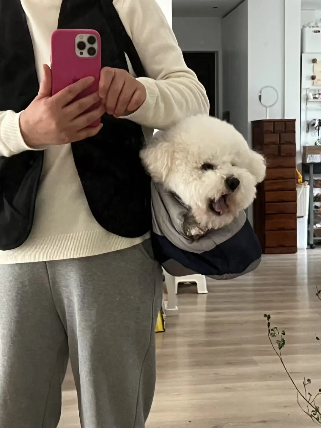 凶凶的小狗就得这样揣兜里被带着出门！