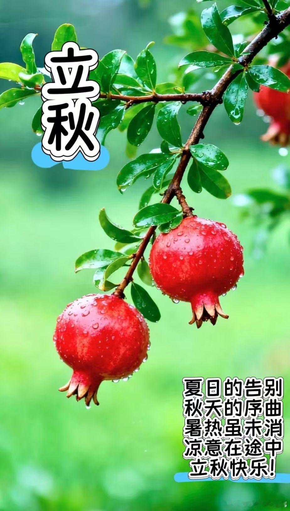 早安：        立秋已至，天气慢慢转凉，注意添衣保暖，希望这个秋天的风，能