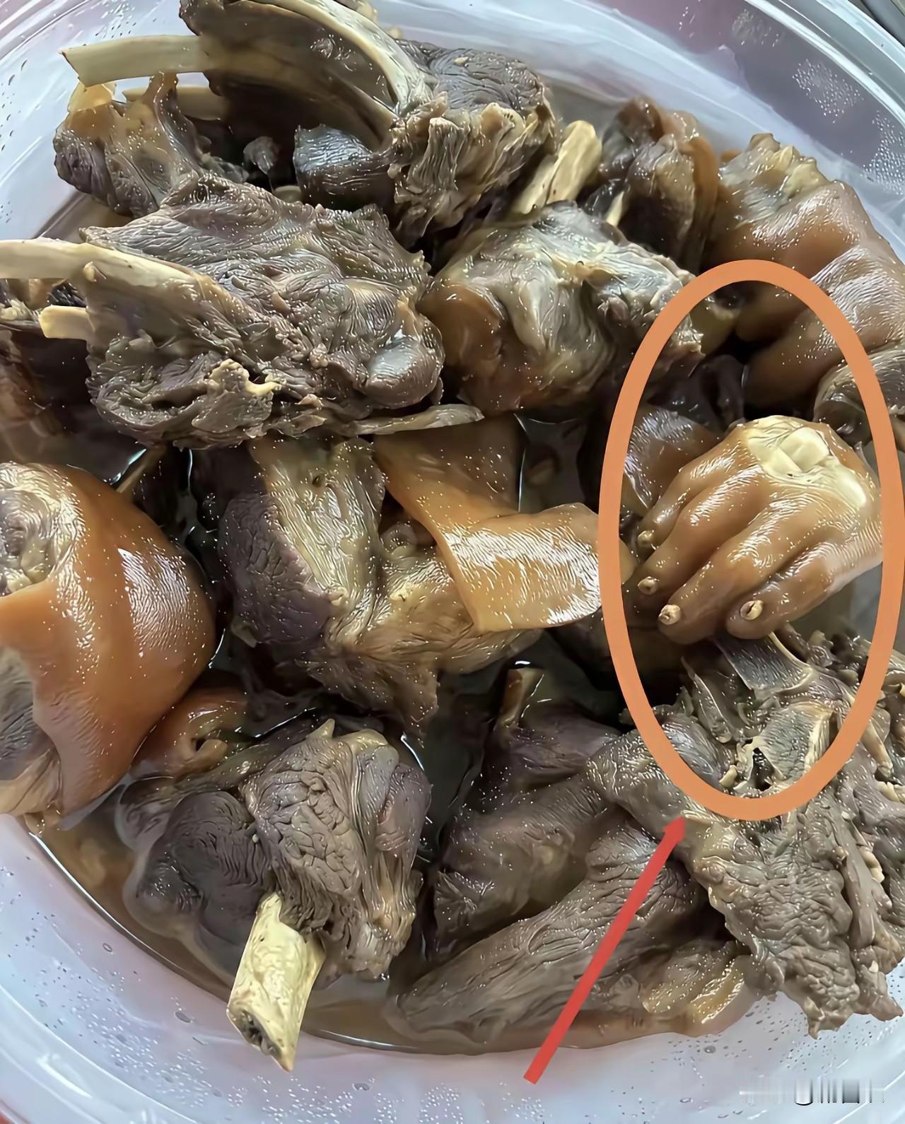 刷到这盆肉里那个爪爪，
是不是光看形状就给吓一跳？
哪位大神遇见过这个“奇怪”的