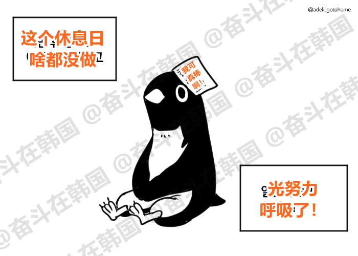 过完周末的我 海外新鲜事热点现场 ​​​