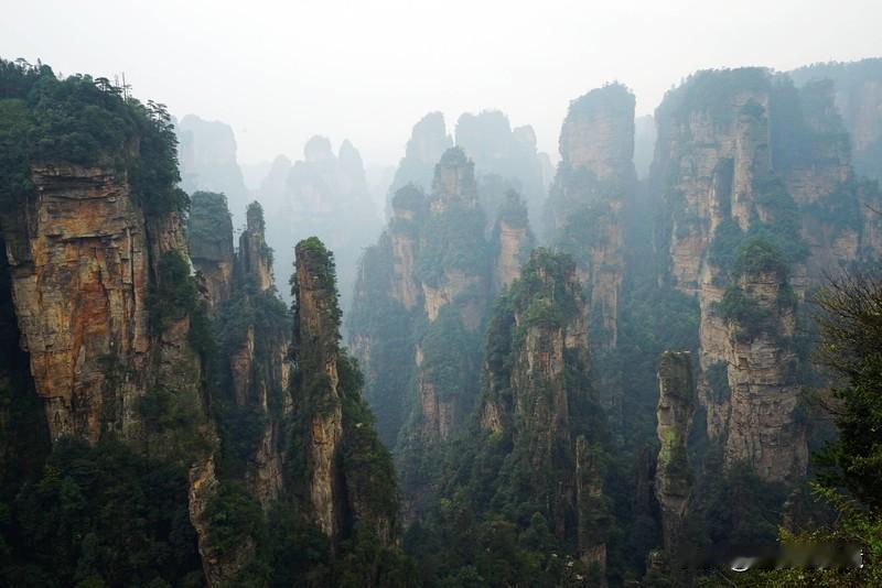 张家界荒野求生挑战赛热度居高不下，全网热度达112亿，不过高热度也带来了高争议。