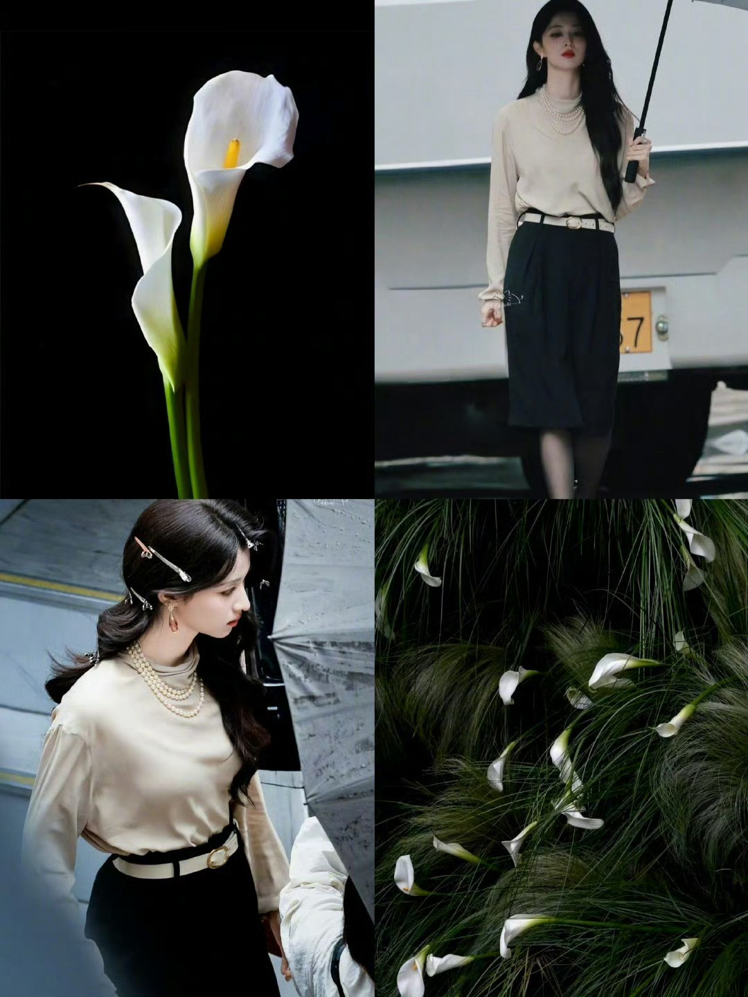 王楚然内娱花塑美人【王楚然】她自成万般绝色 ​​​