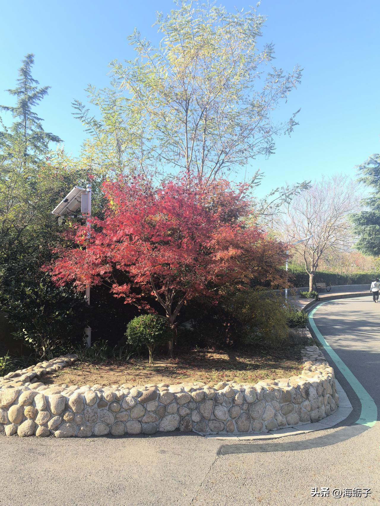 单位给退休职工举办欢送会，大家一起回顾在一起工作学习生活的点点滴滴，是单位对退休