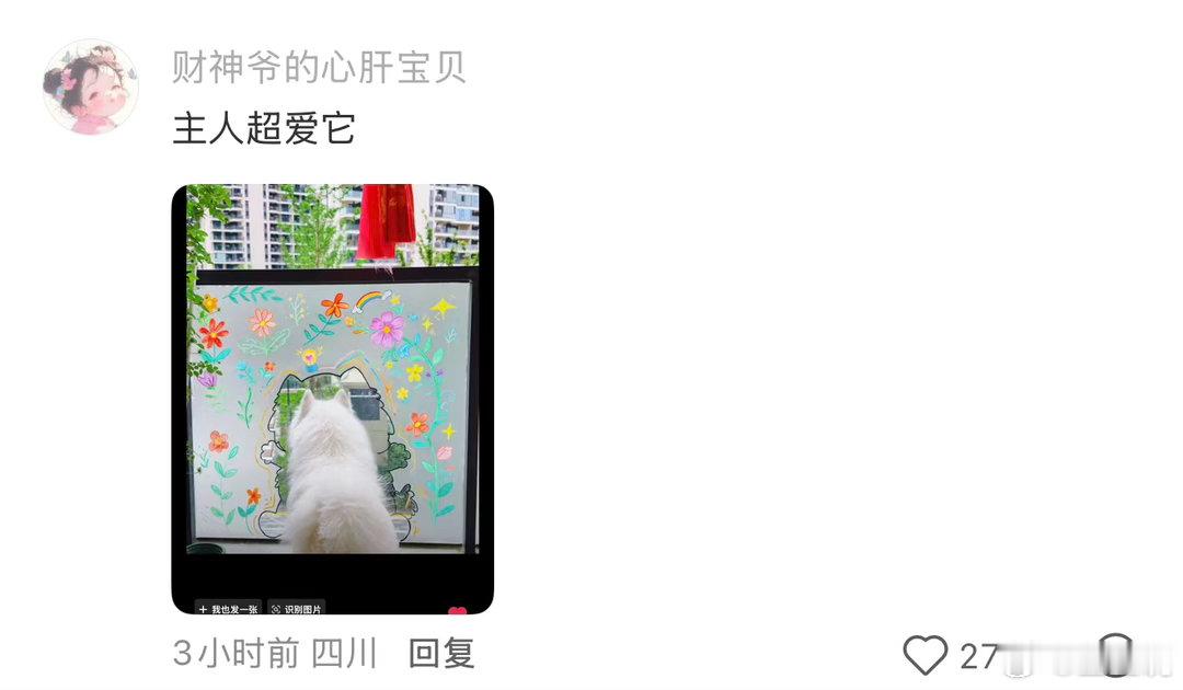 小狗有自己的观景空间 