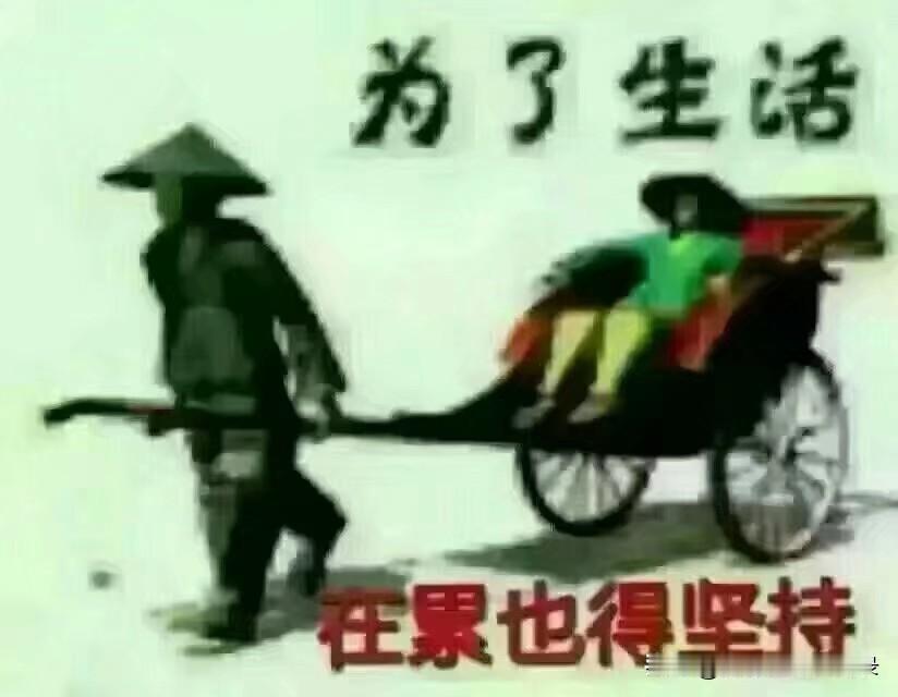 人到中年，你真的活得“累”吗？

别急着摇头，或许是时候换个角度看看这段“苦中带